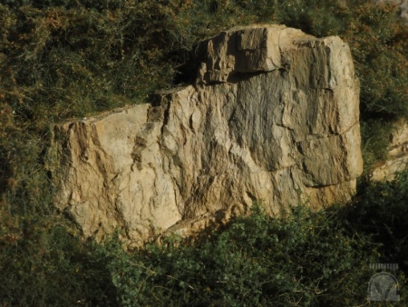 Sortiment aus 3 mittleren Felsen